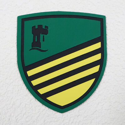 3D Silicone Screen Print Patch for Apparel & Bags | Custom Logo Available